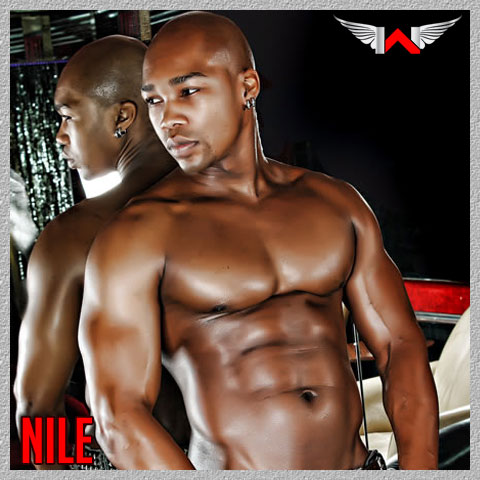 Nile is a male stripper at Sapphire and male companion in Las Vegas, NV