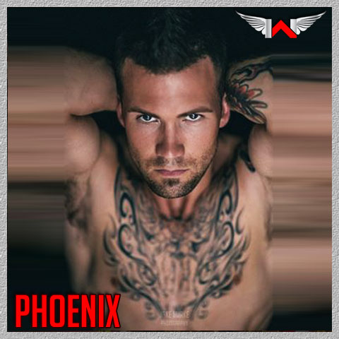 Phoenix is a male stripper in Vegas