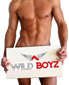 stripper-holding-logo-wild-boyz