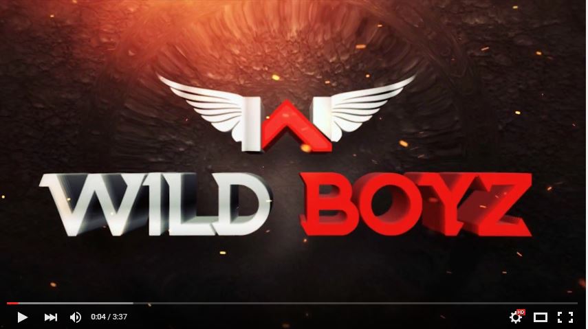 NEW! Wild Boyz Entertainment Strip Party Video