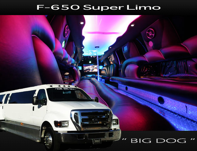 BIG-DOG-f-650-limo