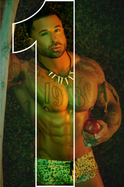 Wild Boyz Las Vegas Male Strippers - 1 - Pick your Performer