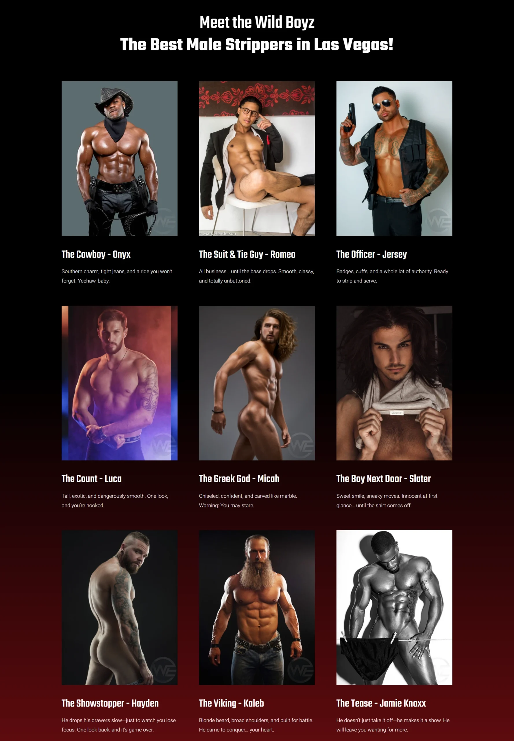 Wild Boyz - Las Vegas Male Strippers Lineup (1)