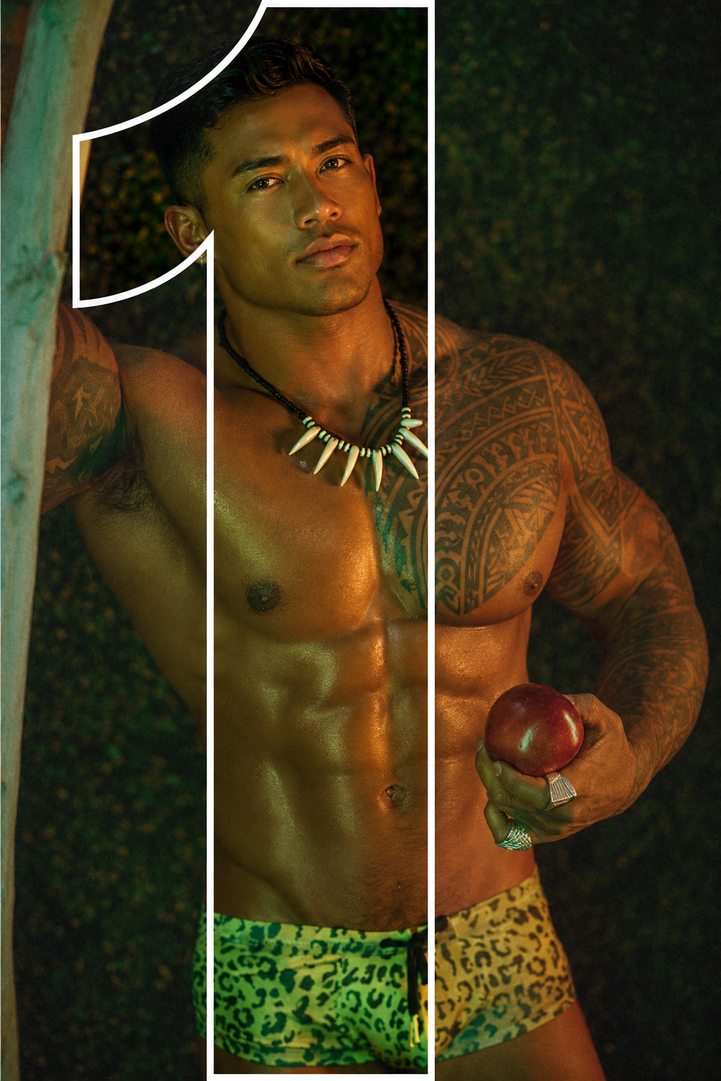 Wild Boyz Las Vegas Male Strippers - 1 - Pick your Performer